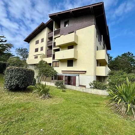 Apartment Lumineux A 300m De L'ocean Et Proche Du Marche, Rez-de-chaussee, Terrasse Amenagee. - Fr-1-239-1041
